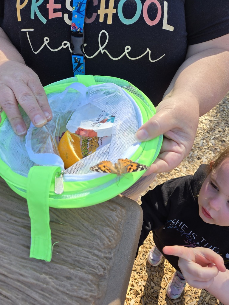 teacher holding container with fruit and butterflies in it and students observering