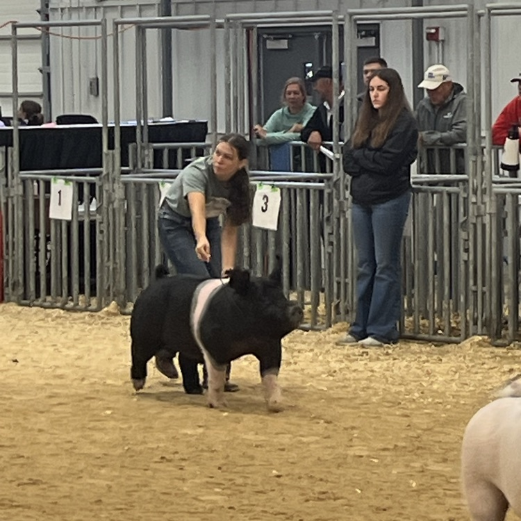 FFA State Fair