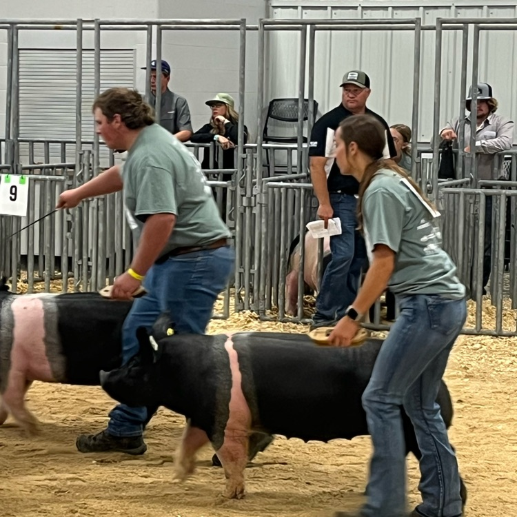 FFA State Fair