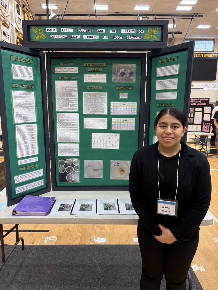 #LDNESTEMresearch @lyonsdecatur