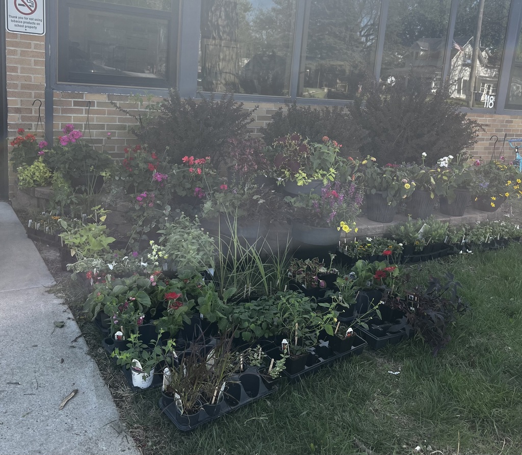 plants