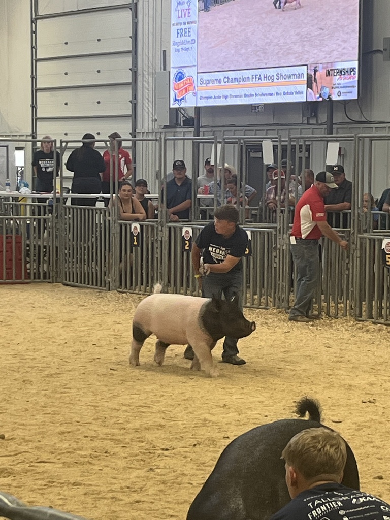 Carsyn State FFA Swine
