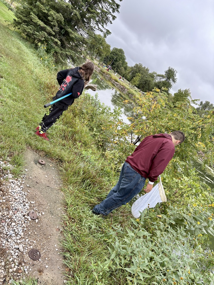 @lyonsdecatur #LDNEbioblitz