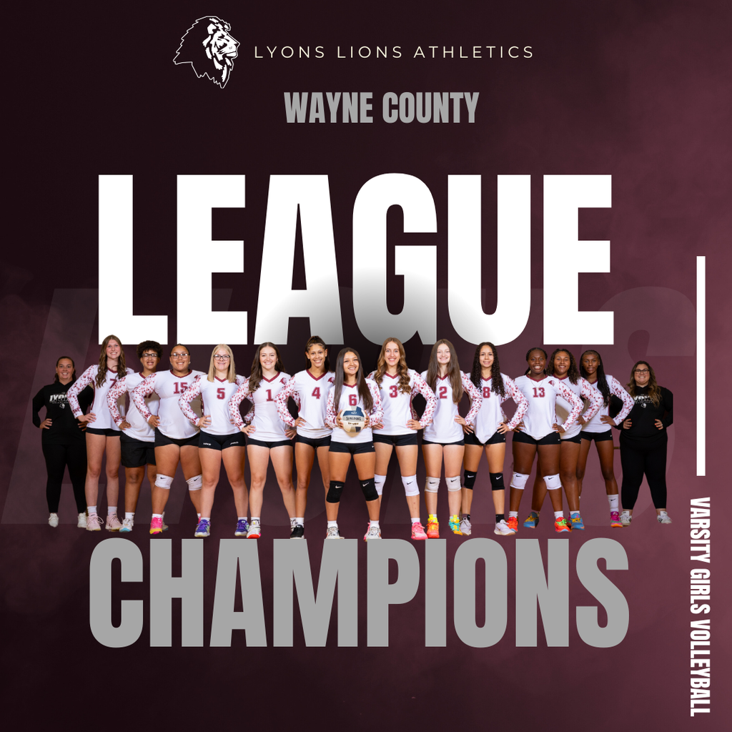 volleyball league champs
