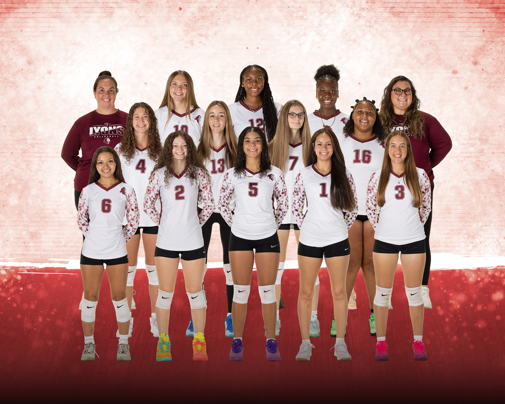 volleyball team picture