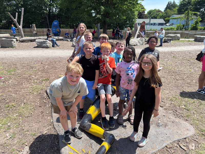 fun at the zoo