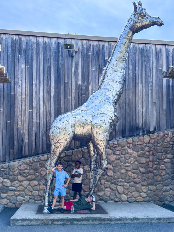 students with giraffe 