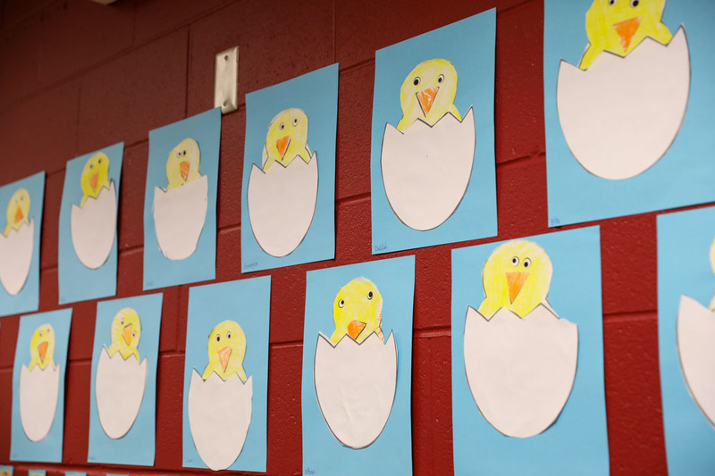 Ms. Petty's Class with Chicks