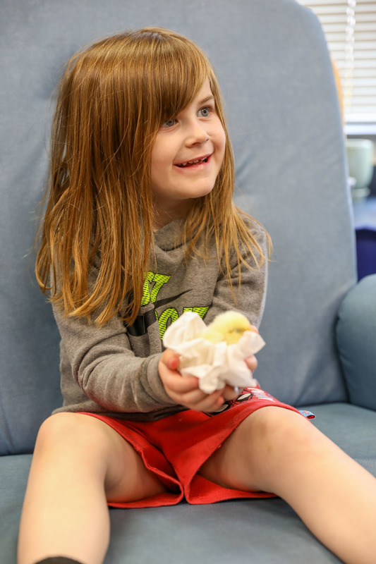 Ms. Petty's Class with Chicks