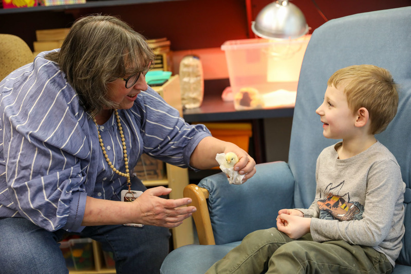 Ms. Petty's Class with Chicks