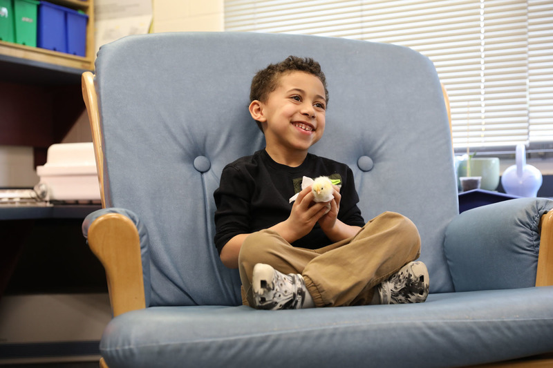 Ms. Petty's Class with Chicks