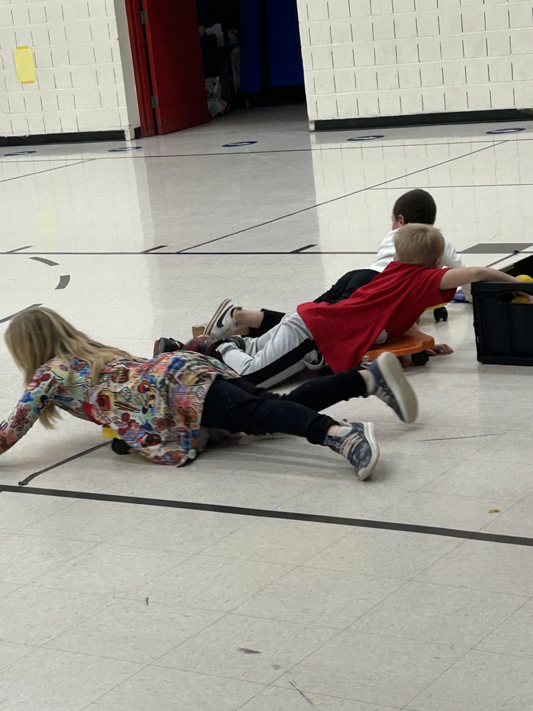students having fun in gym class.
