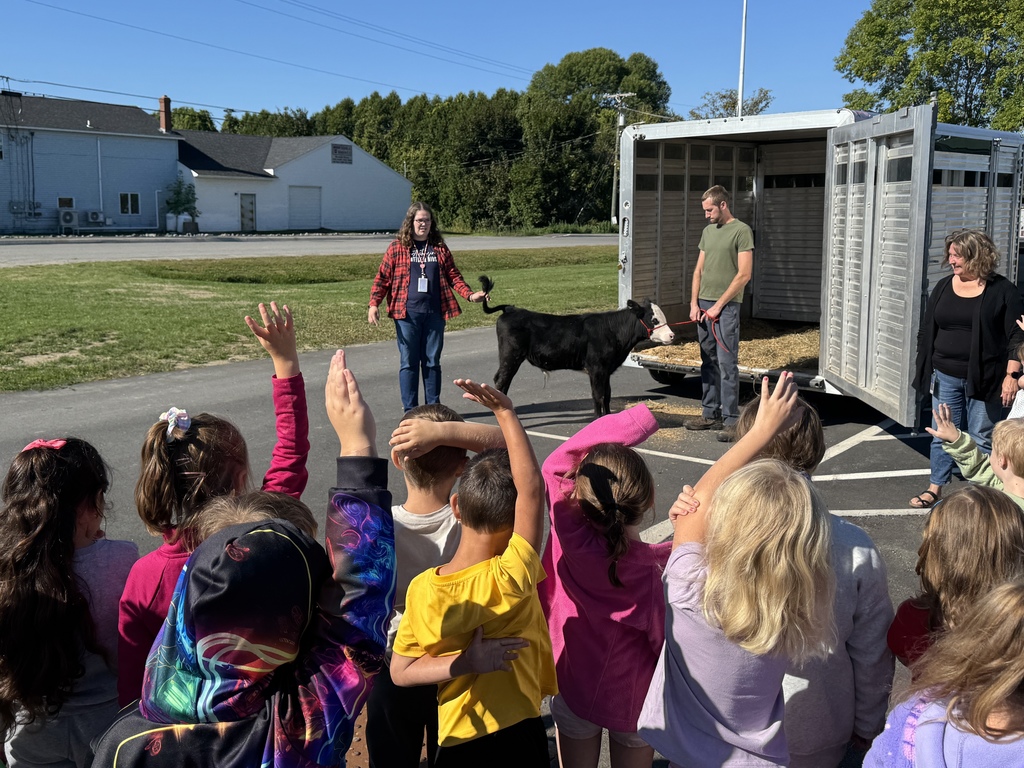students learning about cows during a live visit from one.