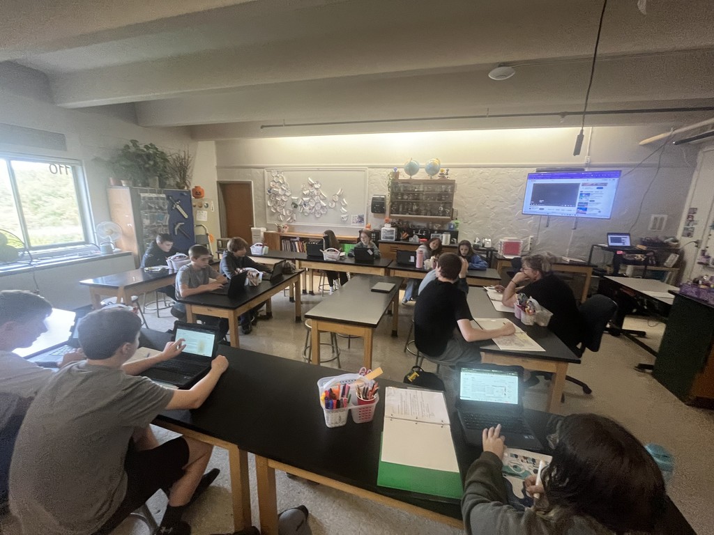 Students participating in learning.