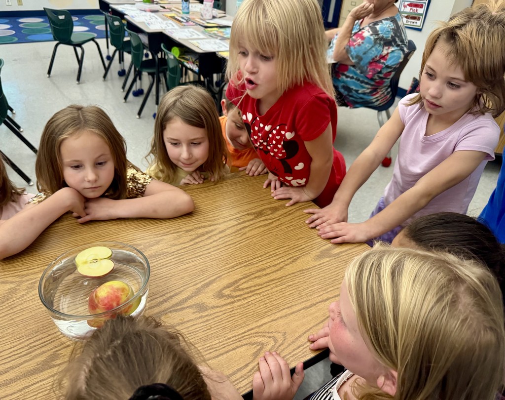 Students involved in hands on lessons learning about the scientific method.
