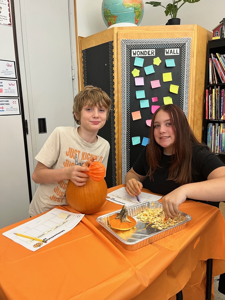 Students are involved in math activities using pumpkin seeds.
