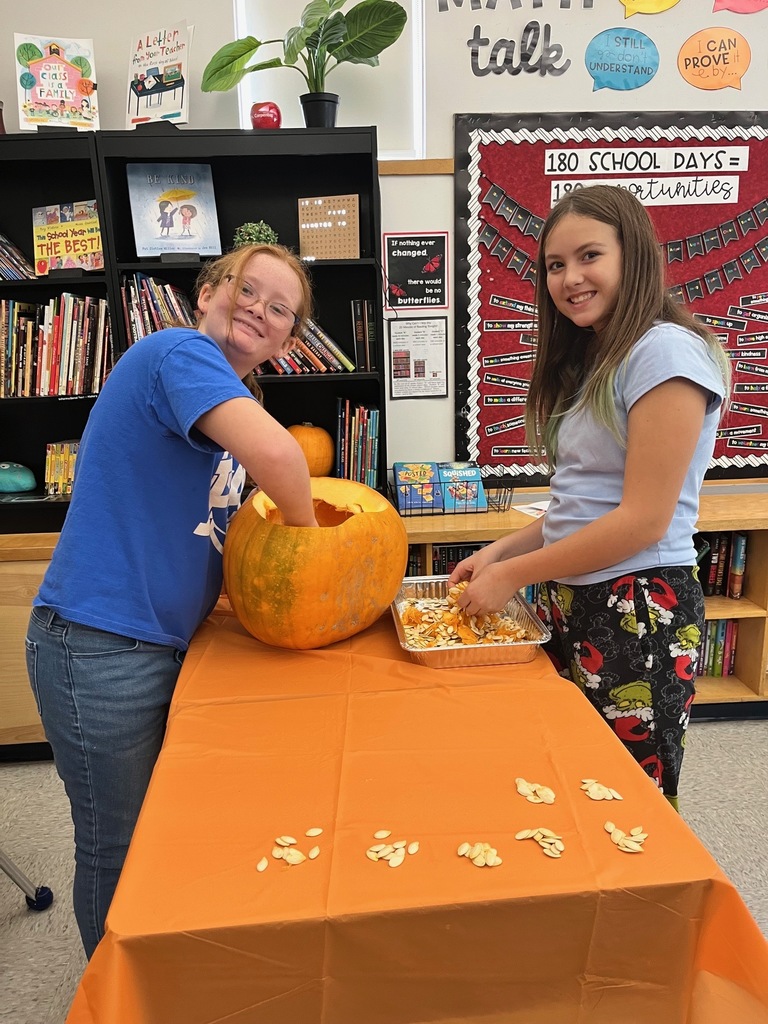 Students are involved in math activities using pumpkin seeds.