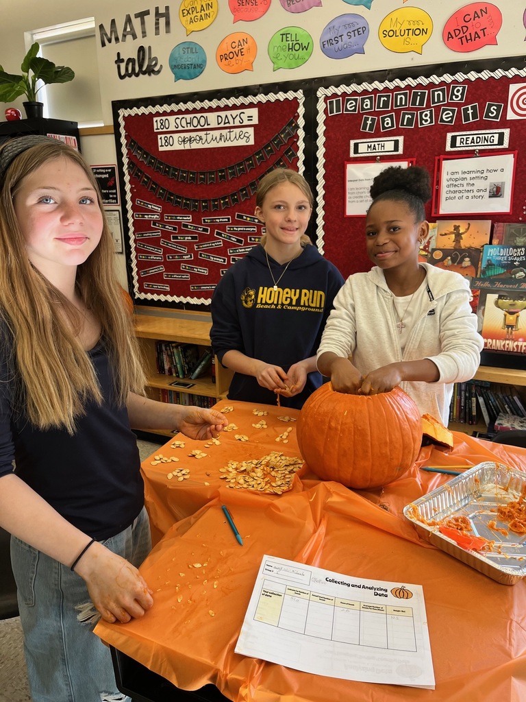 Students are involved in math activities using pumpkin seeds.