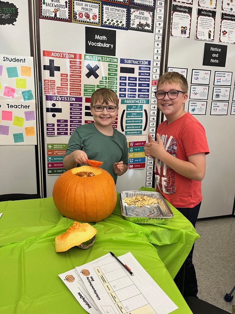 Students are involved in math activities using pumpkin seeds.