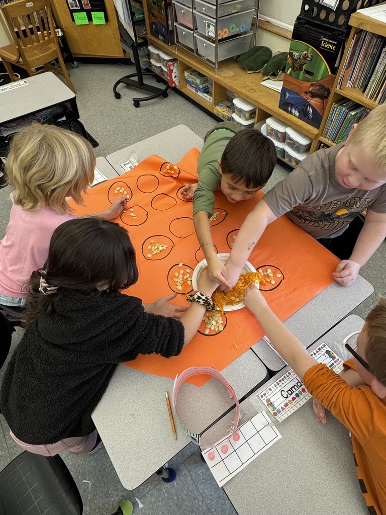 Students are involved in math activities using pumpkin seeds.