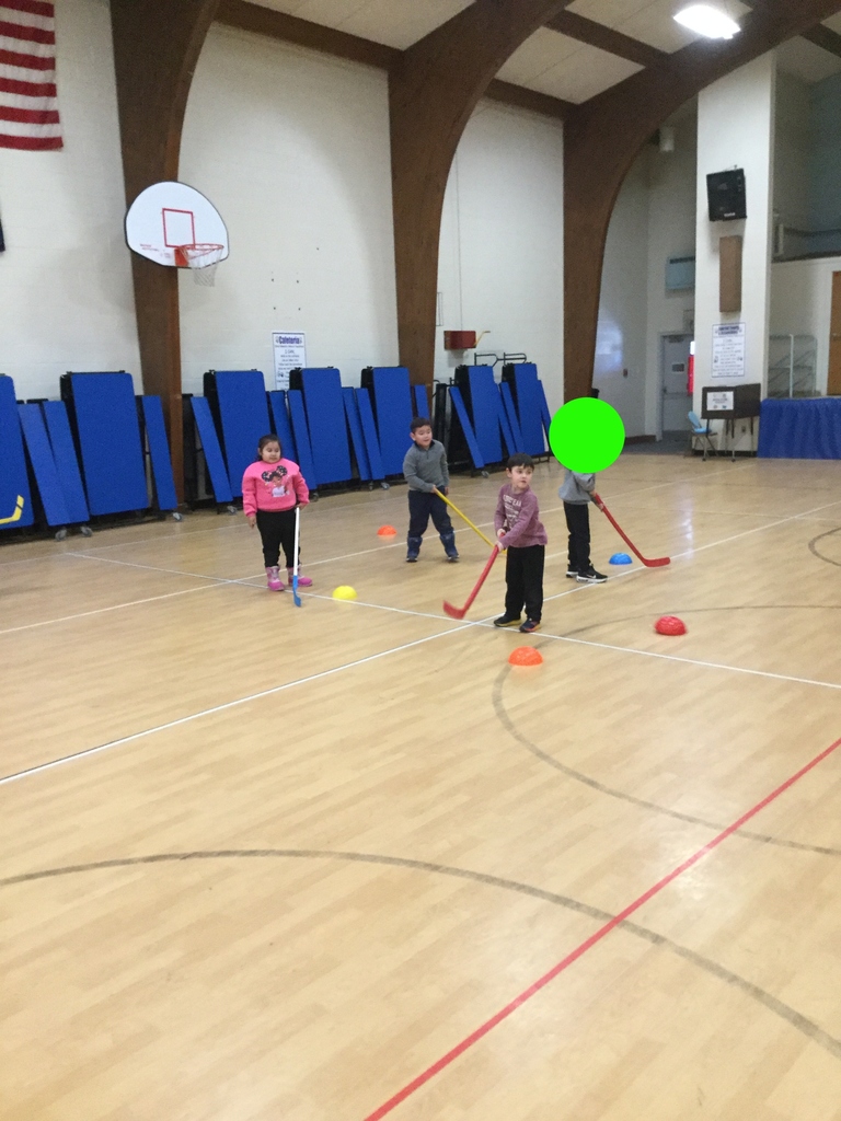 students learning about hockey in Physical Education class!