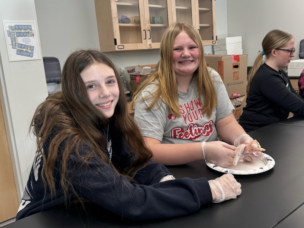 students in science lab to dissect chicken wings, learning how muscles are attached to the skeletal system