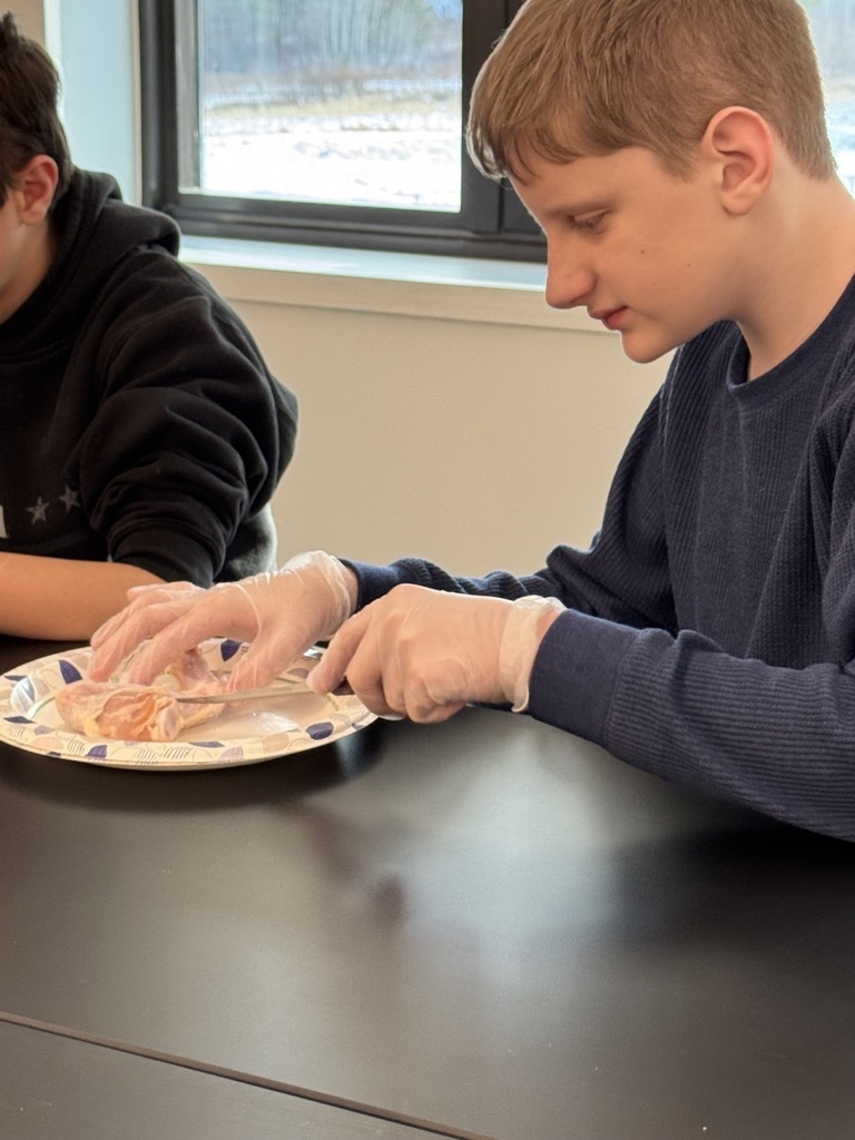 students in science lab to dissect chicken wings, learning how muscles are attached to the skeletal system