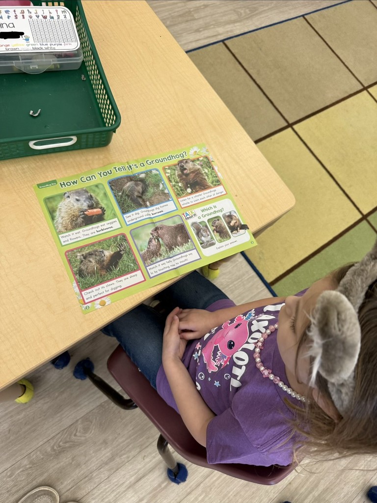 Students working on groundhog day projects. 