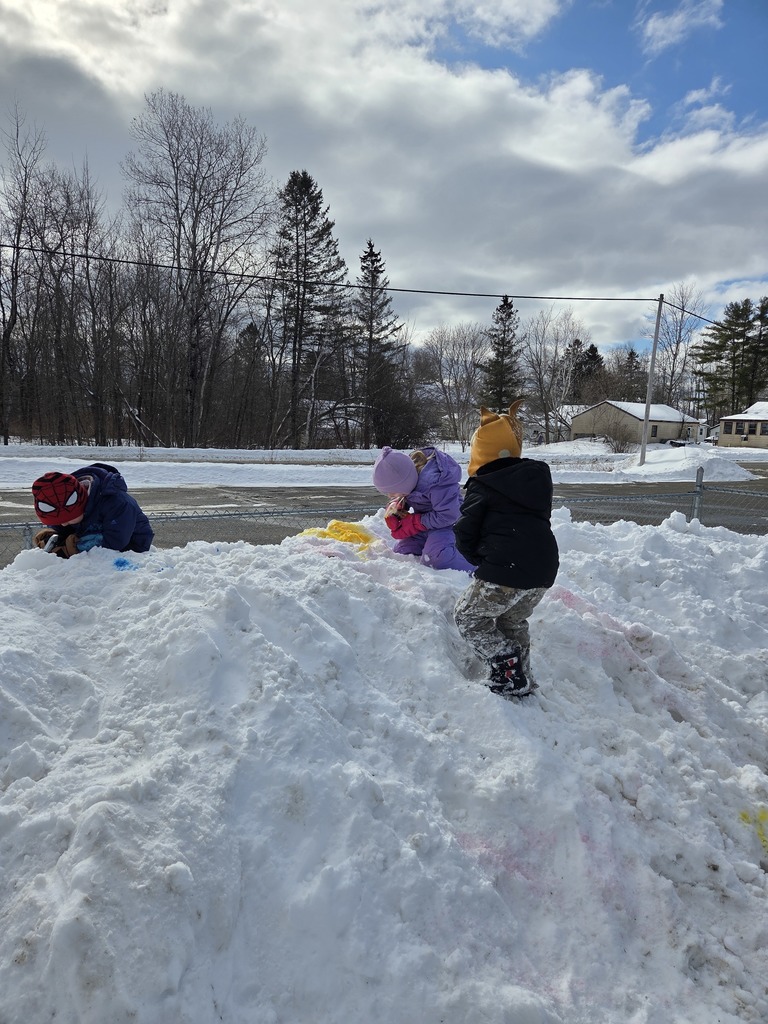 students playing in the snow
