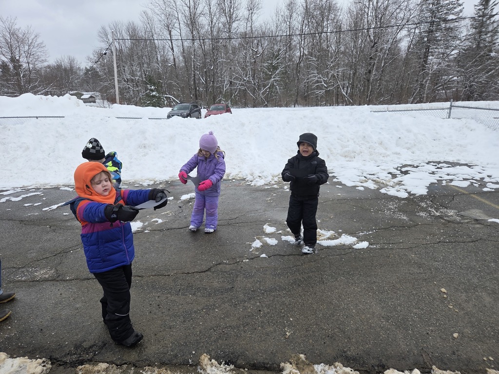 students playing in the snow