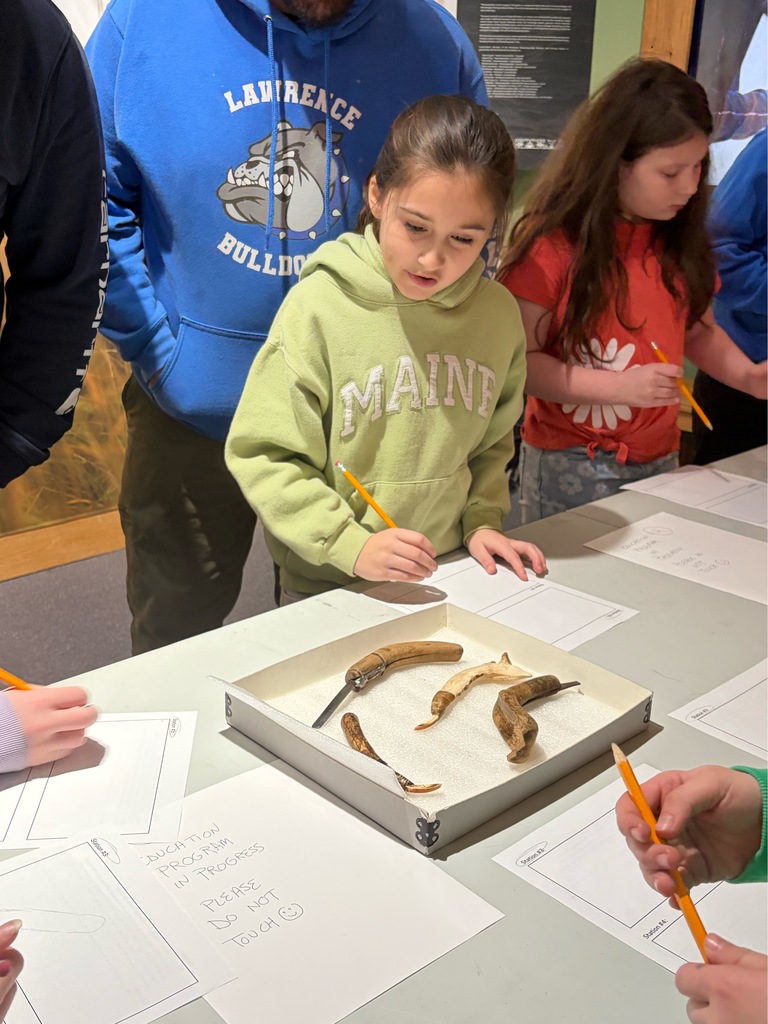 Students participating in a lesson during a field trip.