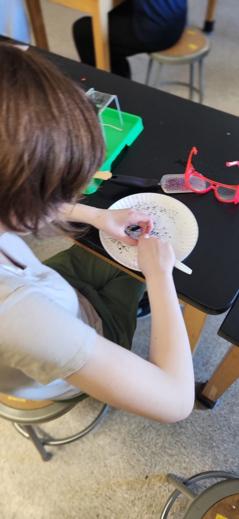8th graders explore tectonic plate movements using graham crackers, marshmallows, and chocolate