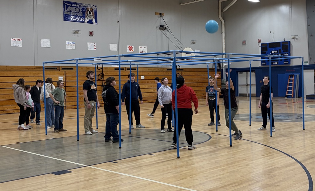 students participating in a ball activity 