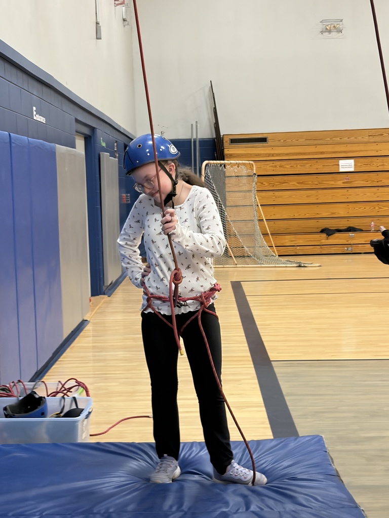 Students rock climbing. 