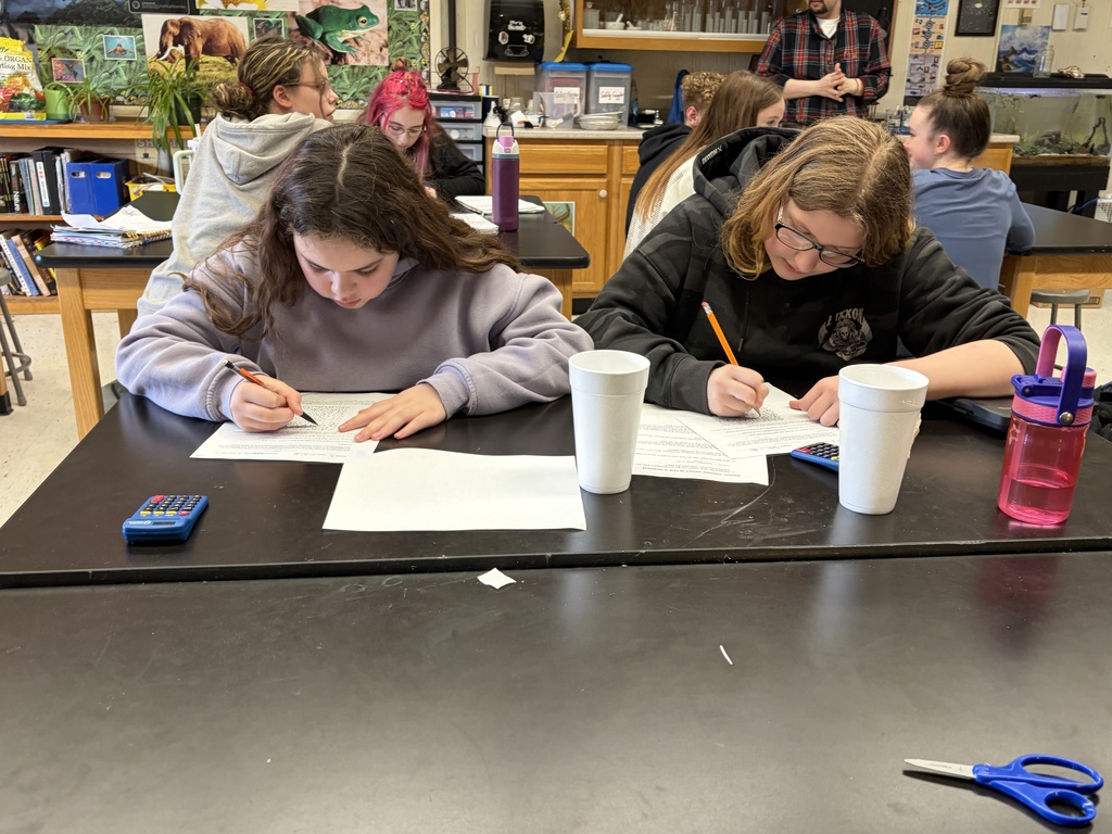 students working on experiments