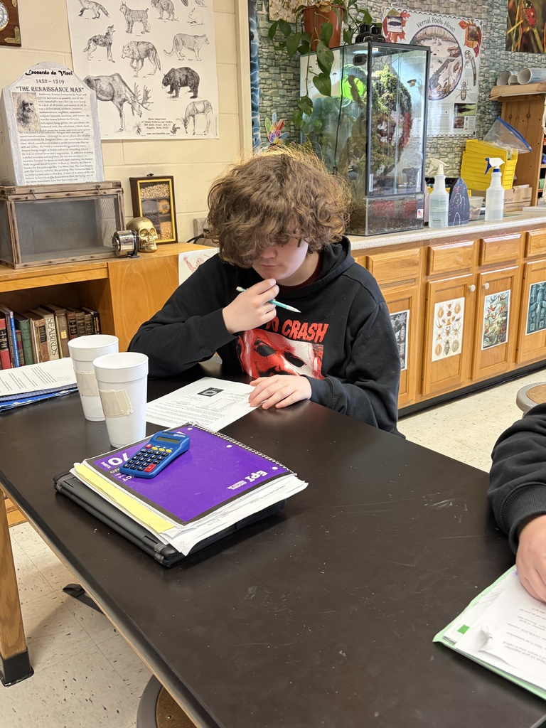 students working on experiments