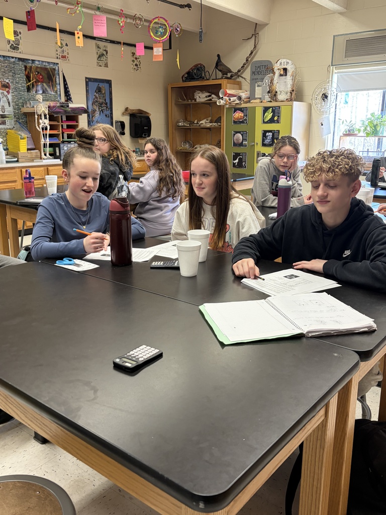 students working on experiments