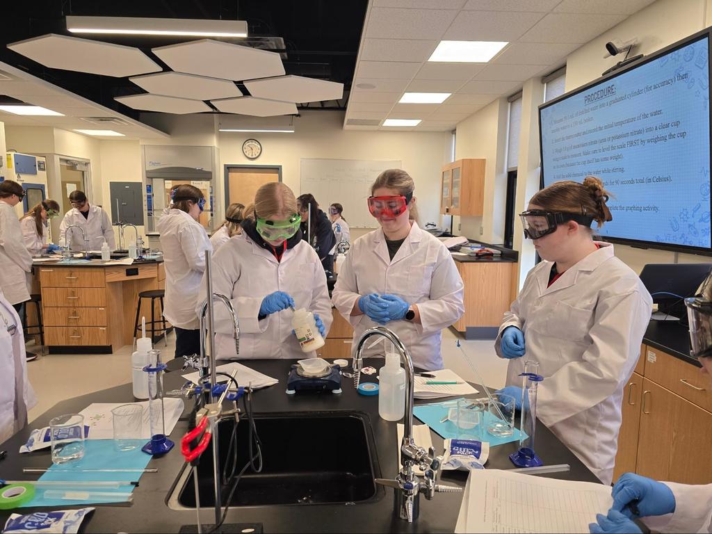 students involved in a lab project.