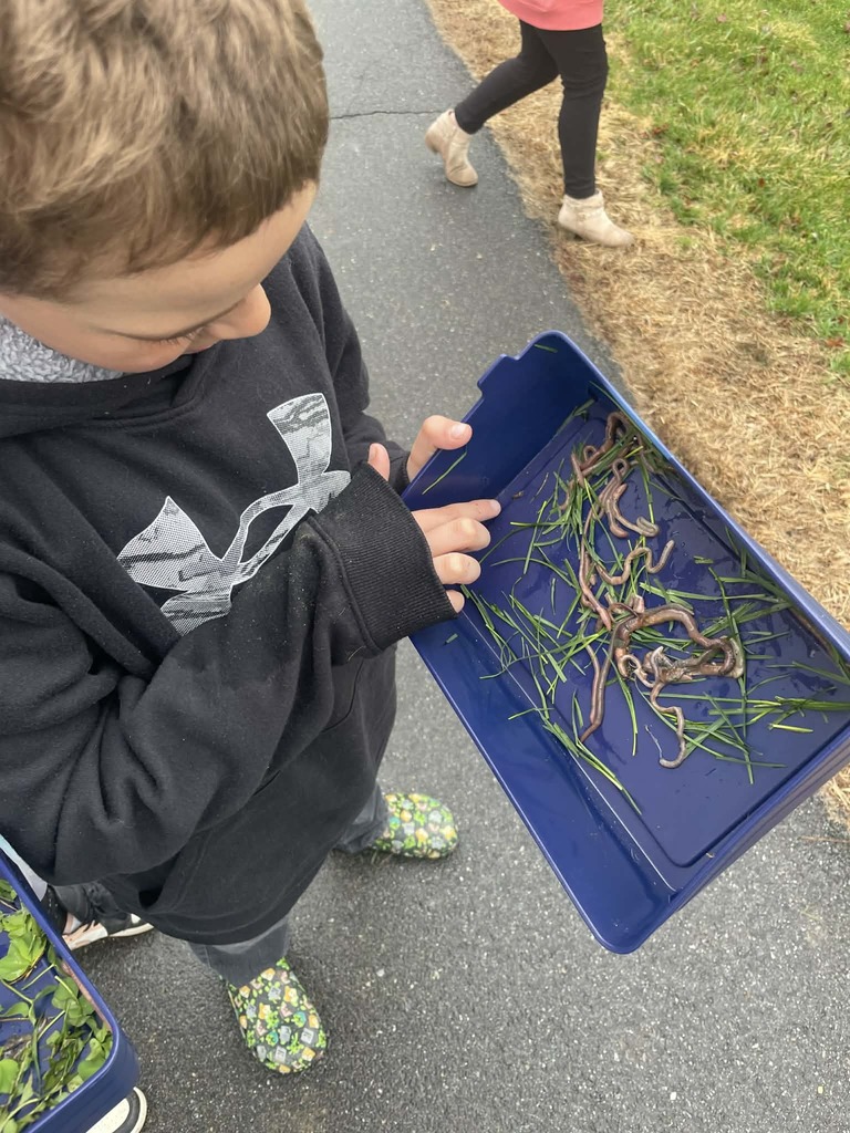 students counting worms