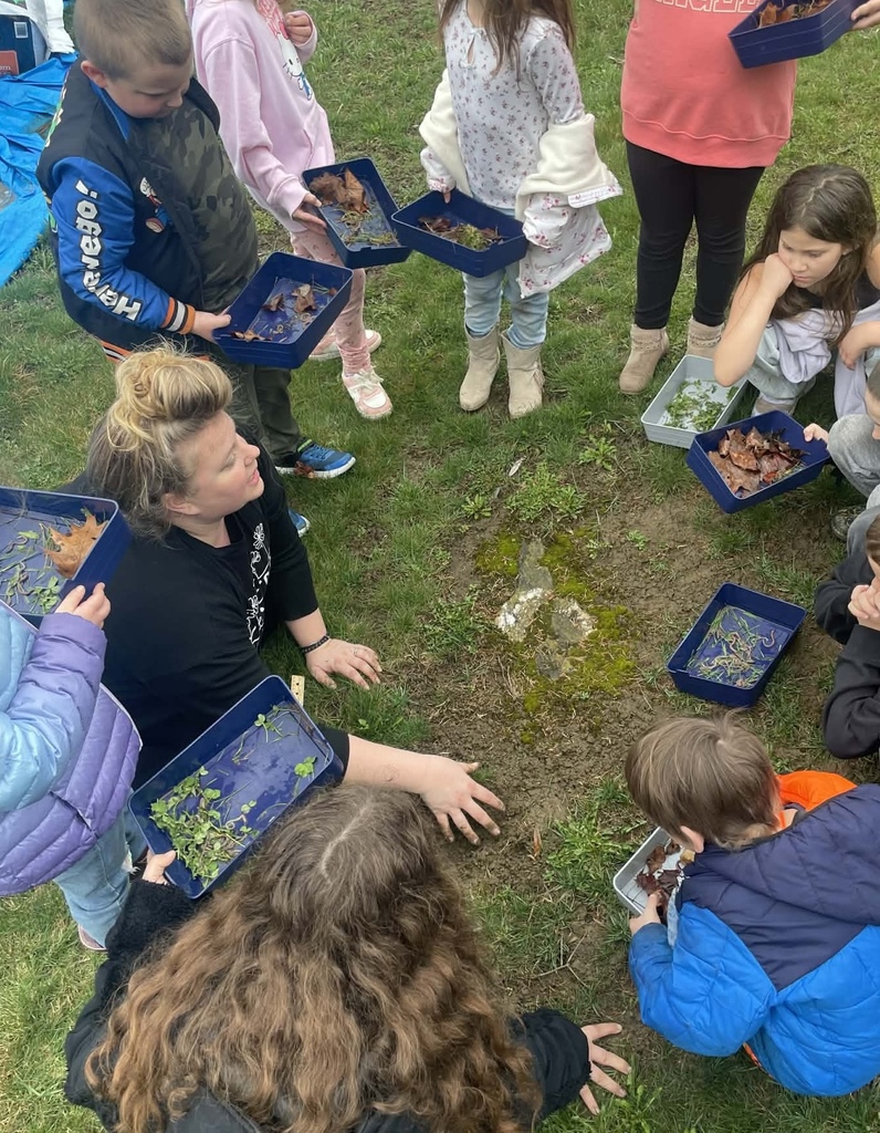 students digging for worms