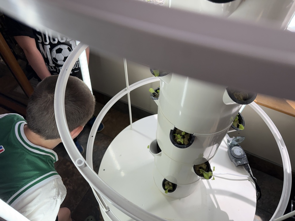 students working on a project
