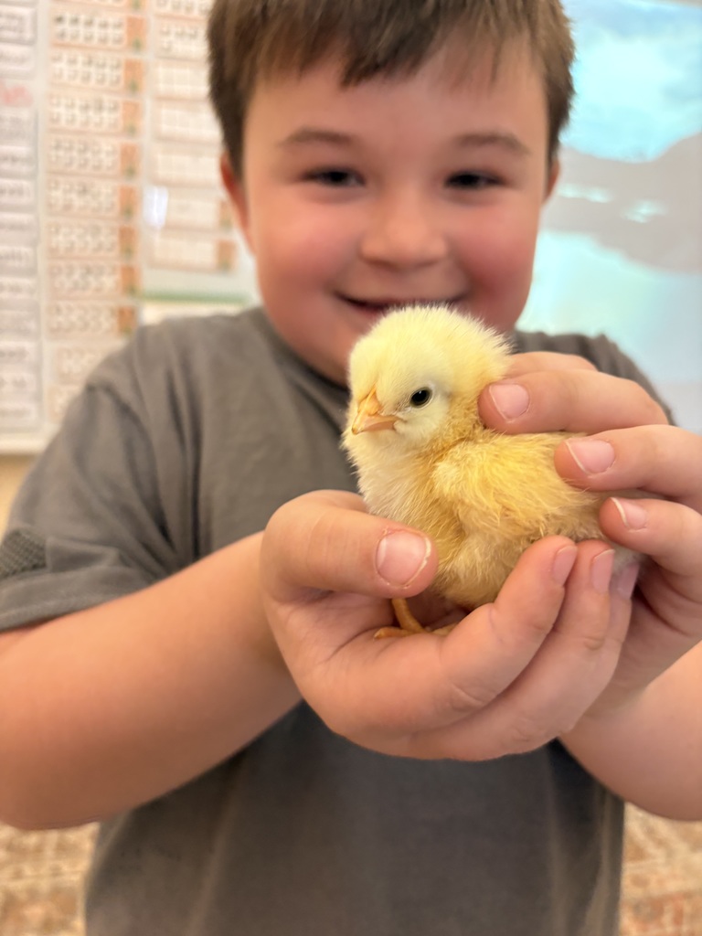 Picture of students holding chicks.