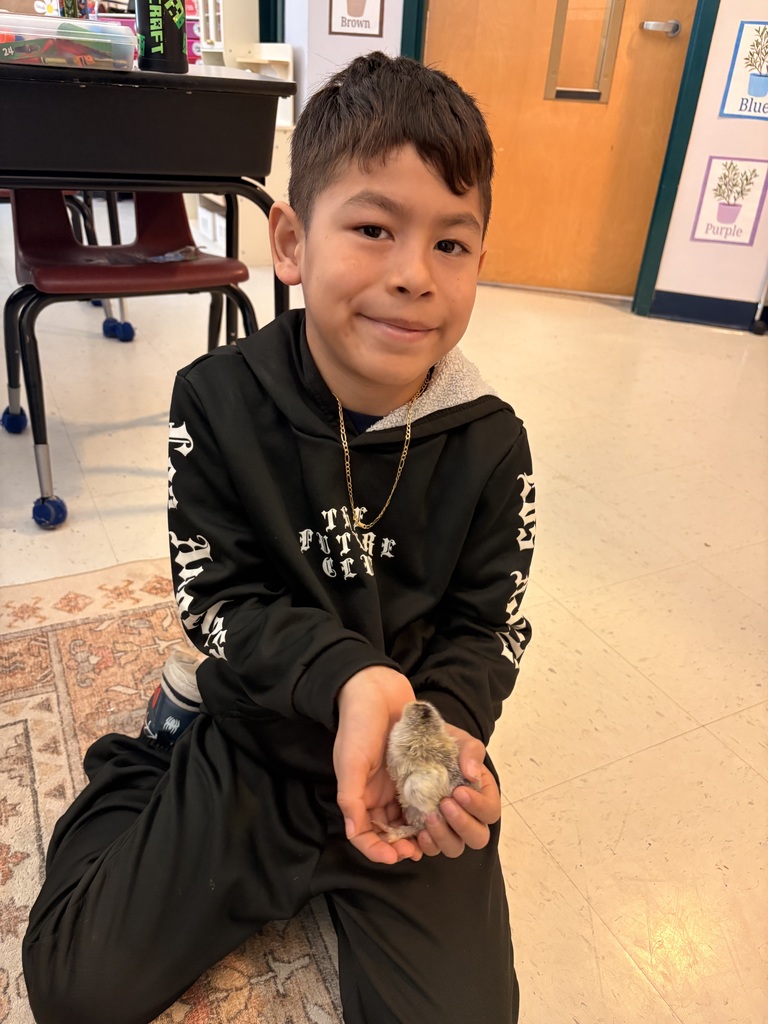 Picture of students holding chicks.