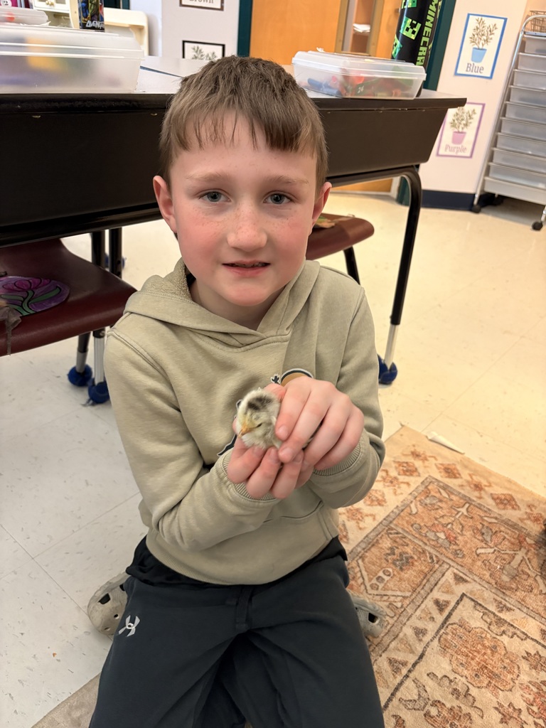 Picture of students holding chicks.