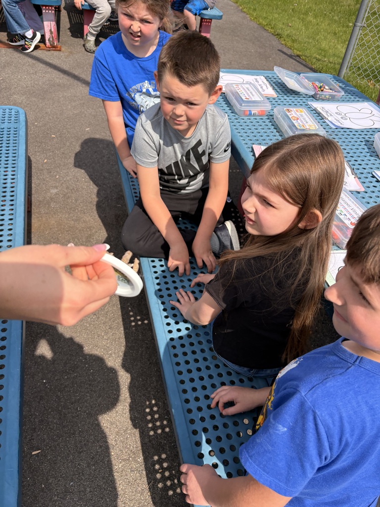 Picture of students holding chicks.