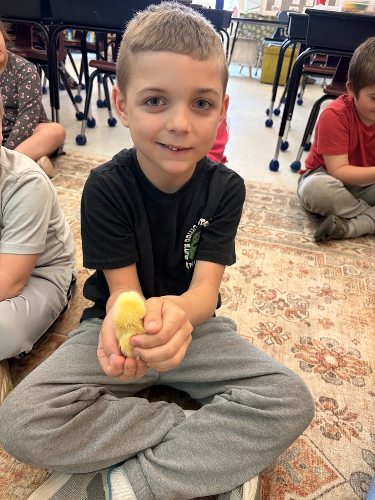 Picture of students holding chicks.
