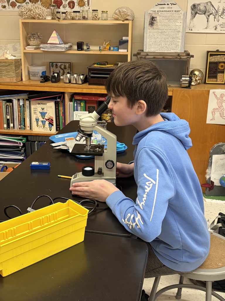 students working on hand on science. 