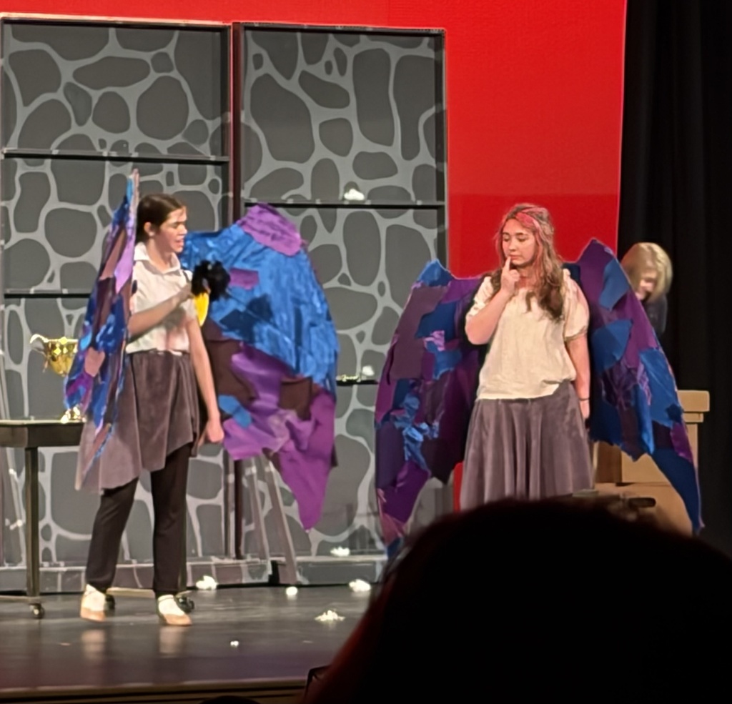 pictures of a school play