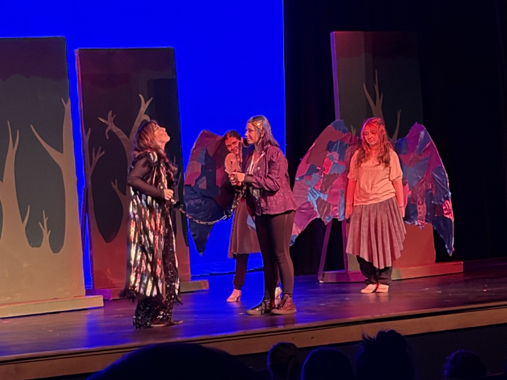 pictures of a school play