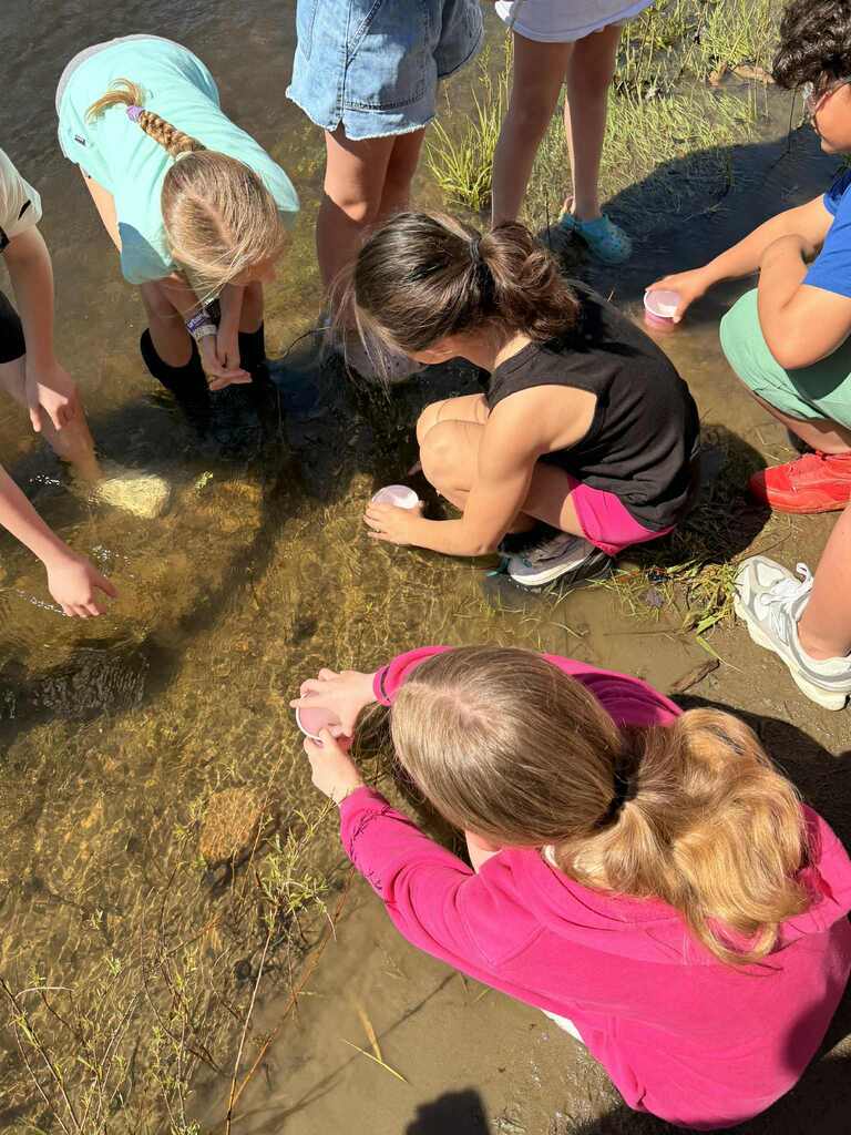 students on a field trip.